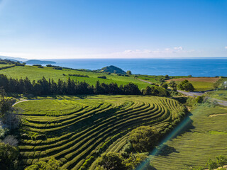 Aerial top view landscape over Tea Plantation of Gorreana (Chá Gorreana). Street path background....