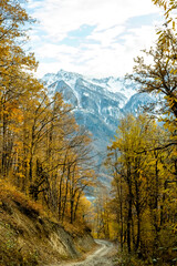 Fototapeta premium View of landscape through autumn forest to the high mountains in the snow. Transition from autumn to winter.