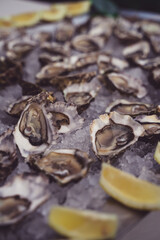 raw quality oyster on plate with lemons