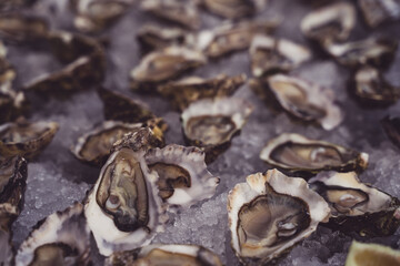 raw quality oyster on plate with lemons