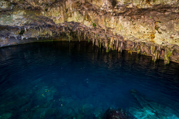 Karst lake in Laguna El Dudu in Dominican Republic