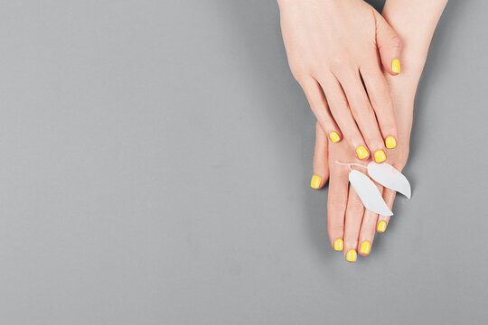 Woman Hands With Yellow Manicure On The Gray Background.