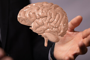 creativity  brain network neurogen digital iq