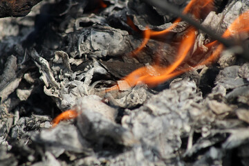 Burning fire burning dried leaves