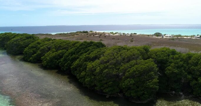 Madrisky island. Los roques Venezuela.  Aerial view  movement pan rigth view mangrove.