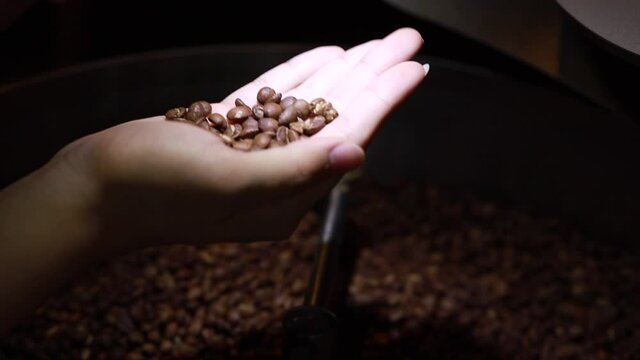Close-up shot of Mixing dark roasted coffee beans in a cooler. Freshly roasted coffee beans on a cooling tray, being mixed by a rotating mechanical arm.