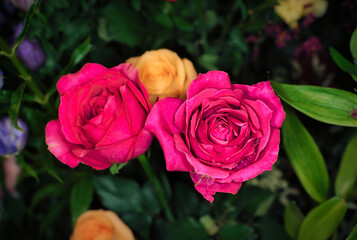 Close-up of a mixed bouquet of roses,summer flowers background.