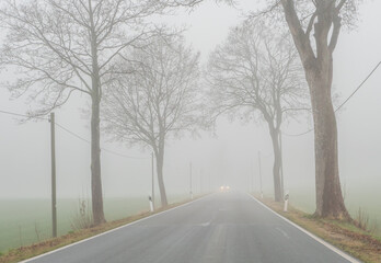 dichter Nebel auf der Straße 