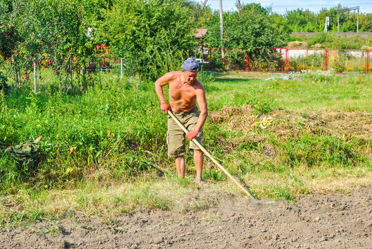 Adult man raking grass from field with rake. Farmer working in summer garden