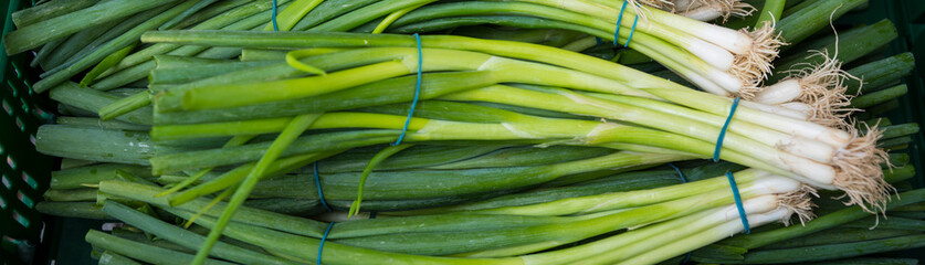 heap of spring onions in box