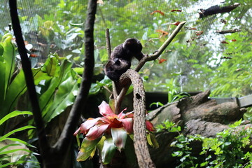 Singapore Zoo :)