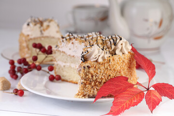 Slices of cake on a white background
