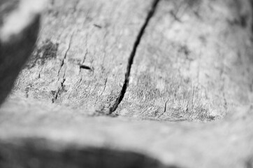 wood texture