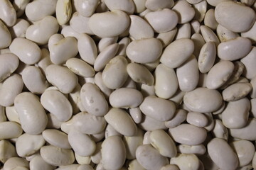 white bean background from food pattern with a copy of the space