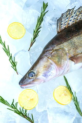 raw fish is on ice cubes. poster with chilled raw fish with ice top view