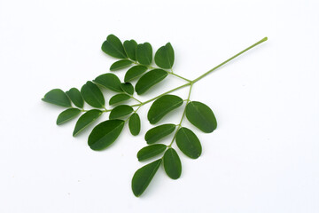 Moringa green leaves on white background.  Moringa Oleifera, tropical herbs.