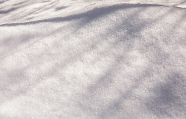 the texture of the snow with the shadows of the tree branches in the background.
