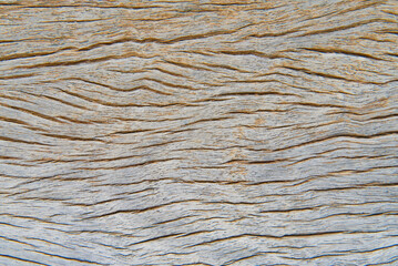 Old brown wooden wall background texture close up.