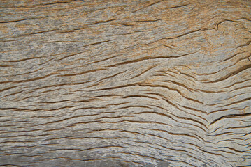 Old brown wooden wall background texture close up.