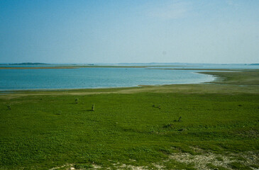 Parc naturel régional, Lac du Der, 51, 52