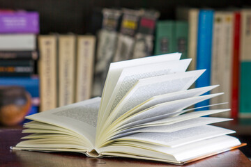 Fototapeta premium open book on the desk