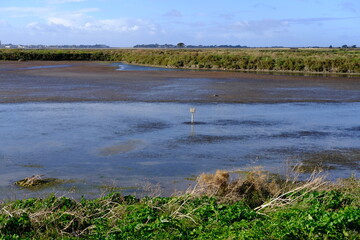 The salt marshes of Guérande in the west of France.