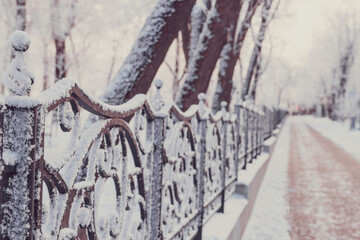 winter park in snow frosty cover