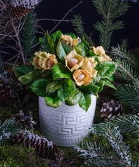 Christmas home decoration - composition of hazelnuts with leaves on a natural moss background, decoration idea
