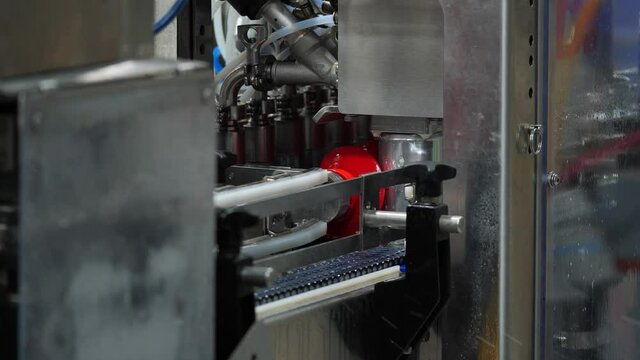 Brewery canning line beers poured