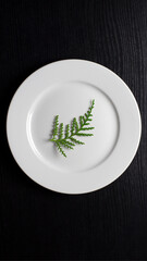 Vegetarianism, diet. A round, white plate with a green twig on a black wooden background.
