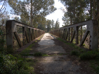 Disused road over iron bridge, Guadalete river