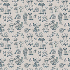 Mushrooms mushroom menu .Graphic illustration hand drawn. Seamless pattern. Engraving, doodle, sketch, retro, vintage. Separate elements on the background. Edible mushrooms, boletus, chanterelles