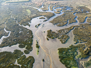 Arcachon bay shore in Gujan-Mestras, Aquitaine, France