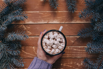 Female hand with mug of hot chocolate and marshmallows. Wooden table with fir branches.