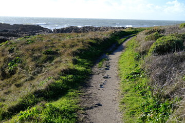 A small path neat the coast on Atlantic shore.
