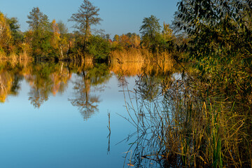 Staropolanka w jesiennych barwach © Wojciech