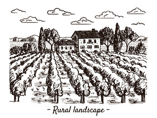 A sketch of a vineyard landscape. Handmade illustration. There are beautiful views of mountains, trees, houses, clouds and plantations. Suitable for decorating wine and natural products.