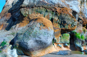 Close up of sandstone rock on the Oregon Coast