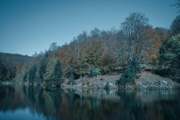 Cold blue tones of lake in forest