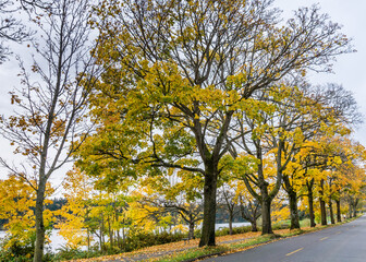 Autumn On Lake Shoreline 12
