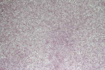 Fototapeta premium Air bubbles pink gray background