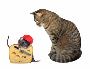 A beige cat looks at a rat with cheese. White background. Isolated.