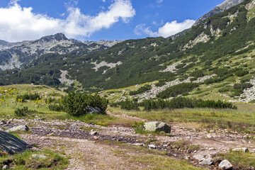 Fototapeta na wymiar Banderitsa River Valley, Pirin Mountain, Bulgaria