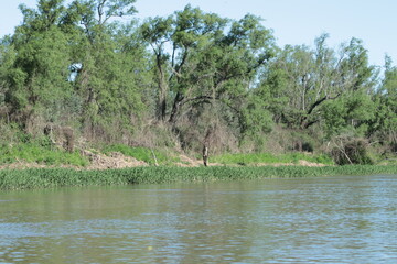 Paisaje de río 