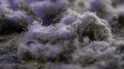 organic and mineral particles and human hair in heap of domestic dust from vacuum cleaner, macro shot