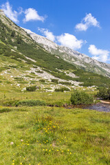 Fototapeta na wymiar Banderitsa River Valley, Pirin Mountain, Bulgaria