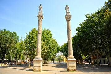 Alameda de Hercules is an important public space in the downtown of Seville with a modern atmosphere and many tapas bars and restaurants of all styles. Seville, Andalusia, Spain