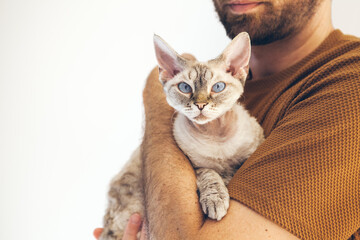 Lifestyle photo of a man holding and petting his affectionate and friendliest cat - Devon Rex. Feline companion. 