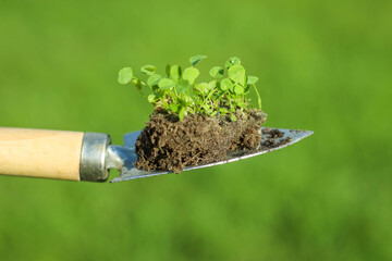 Garden shovel with soil and young seedling. Hand take Plant in Shovel for Earth Day Concept on Green Bokeh.