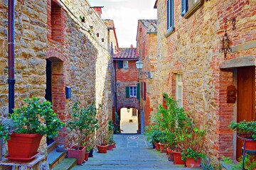 Fototapeta na wymiar landscape of the medieval village of Lucignano in the province of Arezzo in Tuscany, Italy. It is a small town of ancient origins enclosed by walls overlooking the Valdichiana